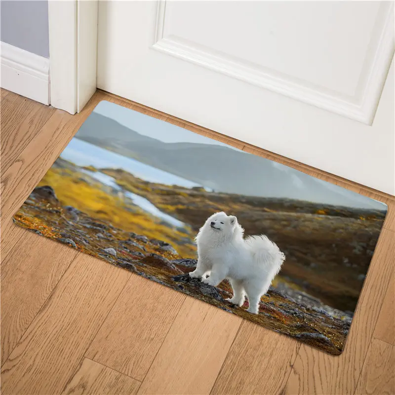 8 Милый Samoyed входящий дверной коврик для кухни коврик под дверь коврик на кухню коврик для дома домашние Нескользящие коврики для ванной приветственные напольные коврики - Цвет: 8