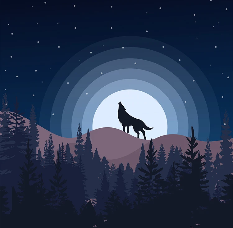 wolf world