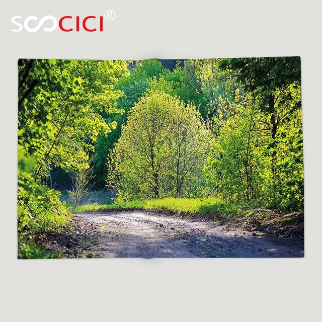 Custom Soft Fleece Throw Blanket Spring Path In Forest By The Lake Custom Soft Fleece Throw Blanket Spring Path In Forest By The Lake Sun Light Reflecting On