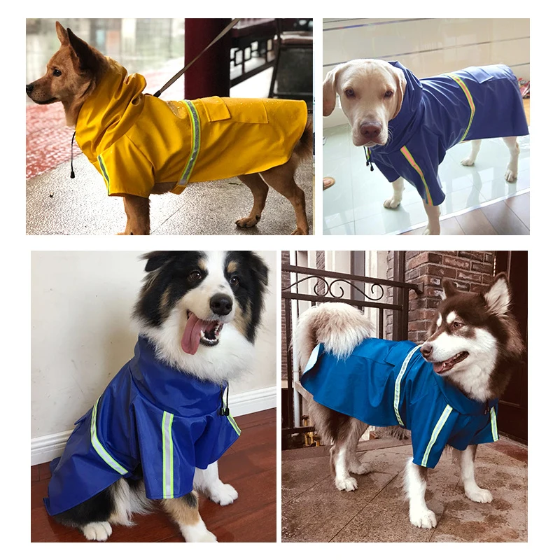 02 dog raincoat 