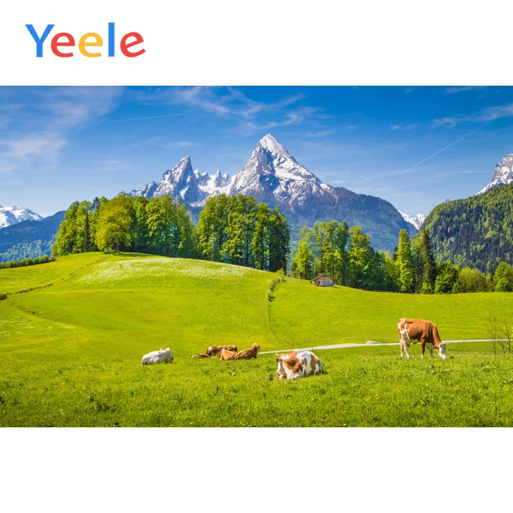 

Yeele Rural Pastoral Pasture Natural Hillside Portrait Scene Baby Backgrounds Photography Photographic Backdrop For Photo Studio