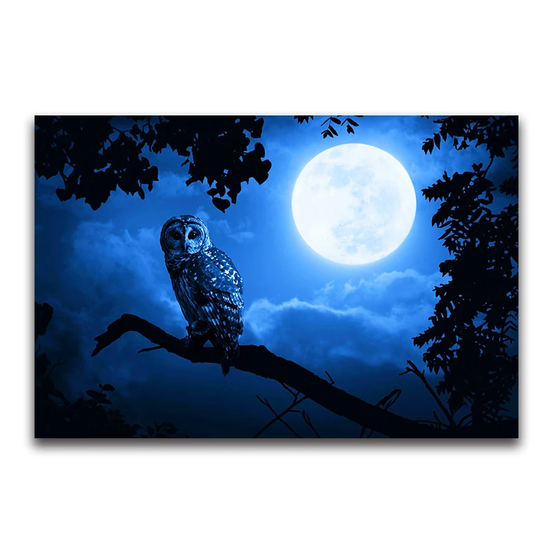owl Full square Diamond embroidery night moon Light 5d DIY Diamond painting Cross stitch eagle full round Diamond mosaic bird