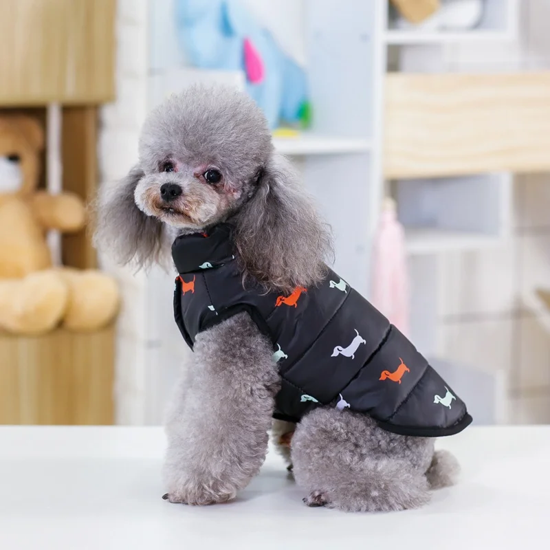 Осенне-зимняя одежда классная собачья теплая одежда британский стиль куртка пальто с меховым воротником Маленькие Средние собаки одежда для домашних животных