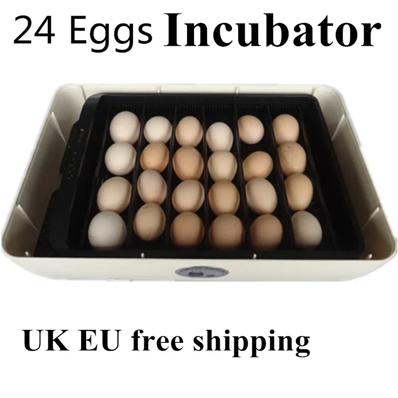 Best  Poultry Hatchery Machine Hatching  24 Mini Brooder Small Chicken Bird Egg Hatchers Incubator for Quail Parrot Duck