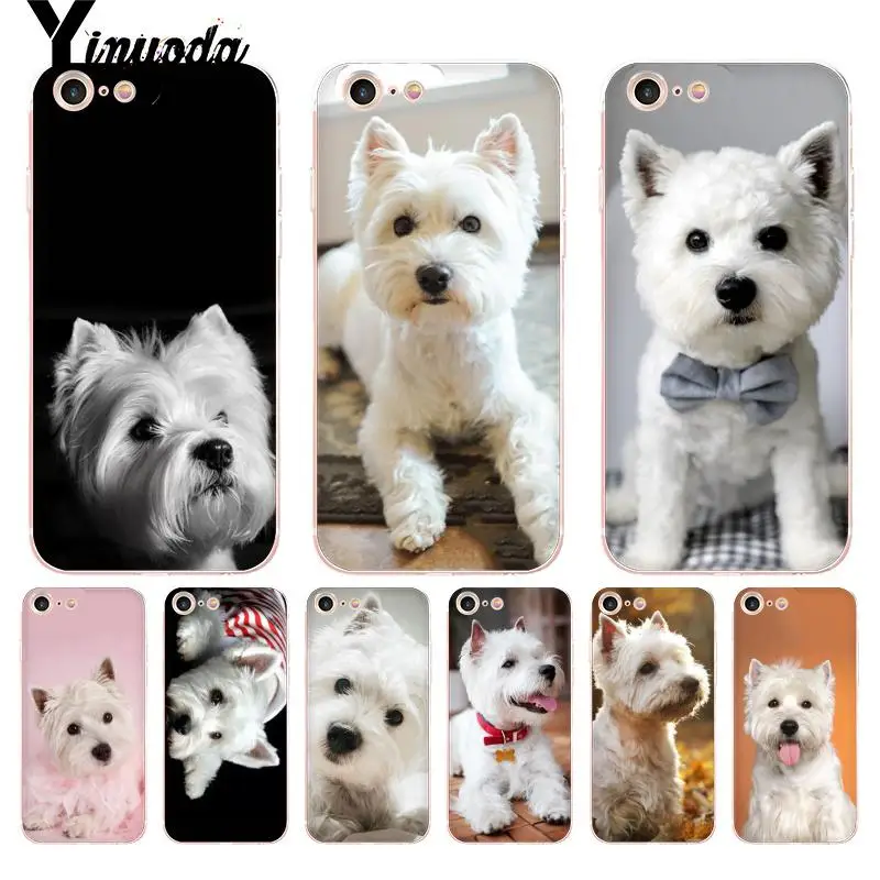 

Yinuoda For iphone 7 6 X Case Westie Terrier Dog Puppy Highland Terrier Phone Case for iPhone 8 7 6 6S Plus X 5 5S SE 5C XS XR