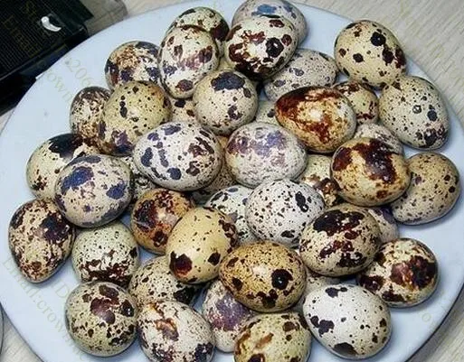 Бытовая ручная лущильная машина для перепелиных яиц обработки яиц|egg cleaner|egg white yolk