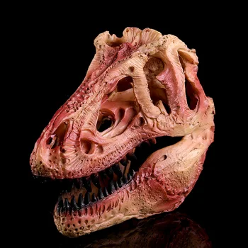

Simulation Resin Crafts Home Decorations Accessories Furnishings Exhibition Tyrannosaurus Dinosaur Skull Study Model