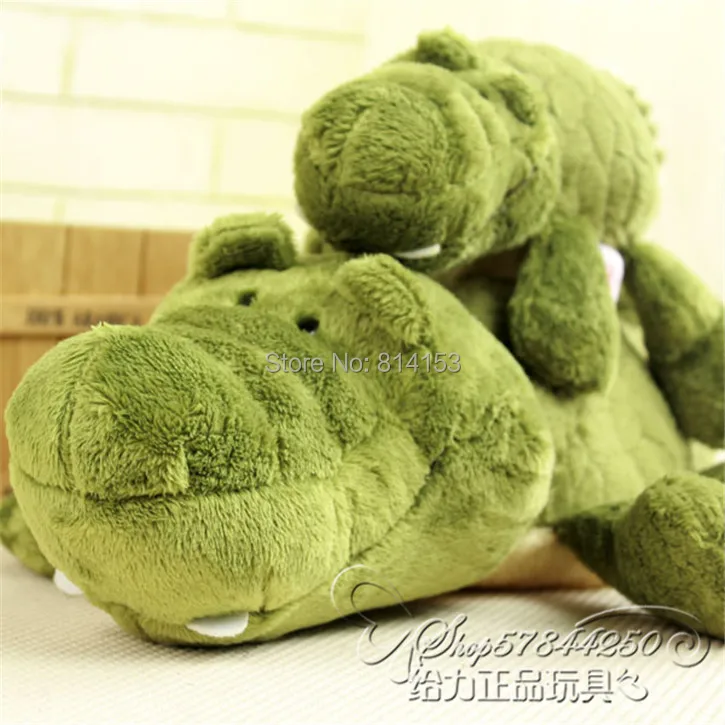 nici crocodile