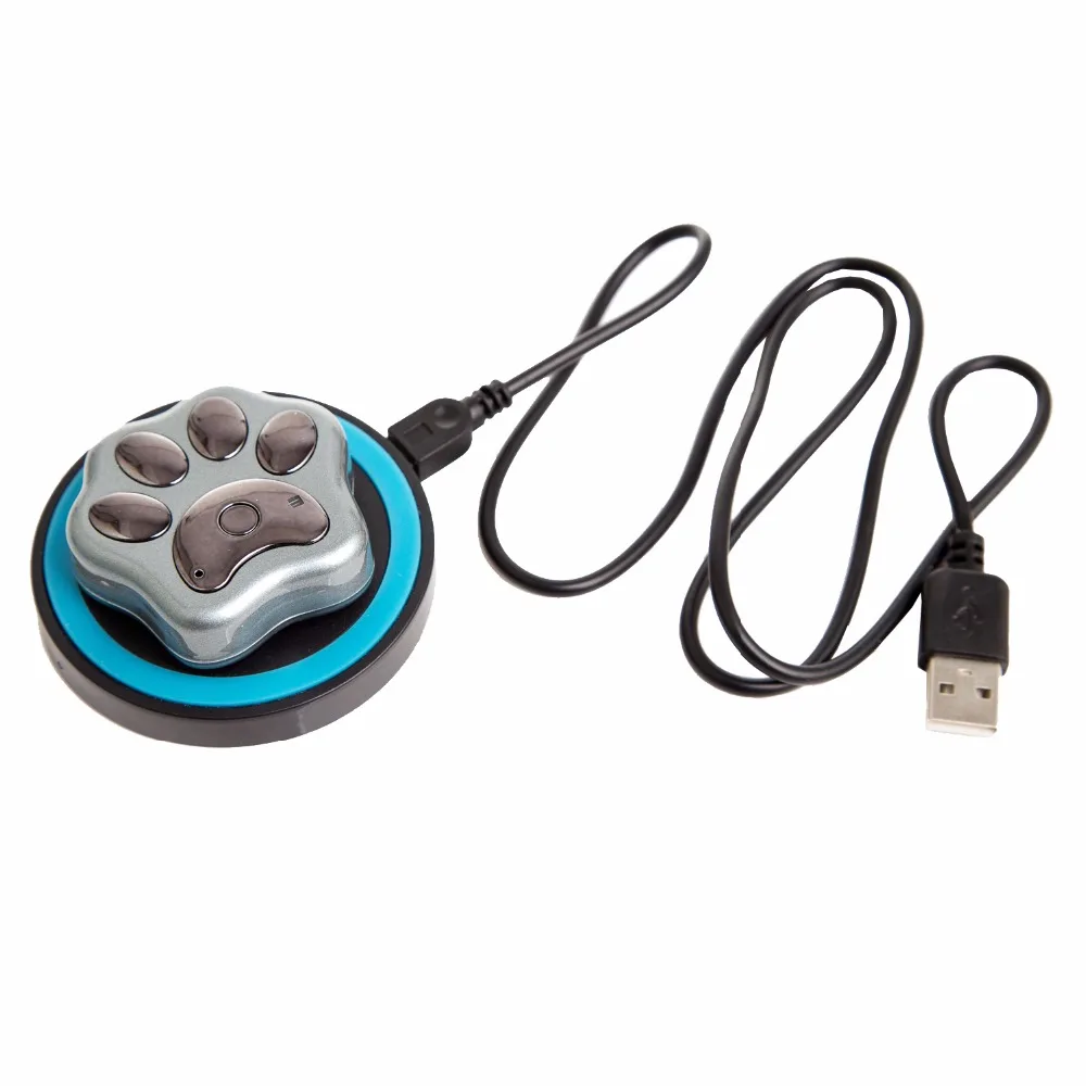 Long Battery and Waterproof Smallest Real Time GPS Tracker Personal Mini GPS GSM Tracker