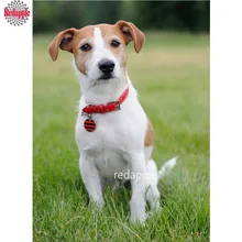 Полная квадратная Алмазная Картина Вышивка крестом "Джек Рассел терьер" ПЭТ Алмазная вышивка собака мозаика Алмазная на заказ, домашний Настенный декор