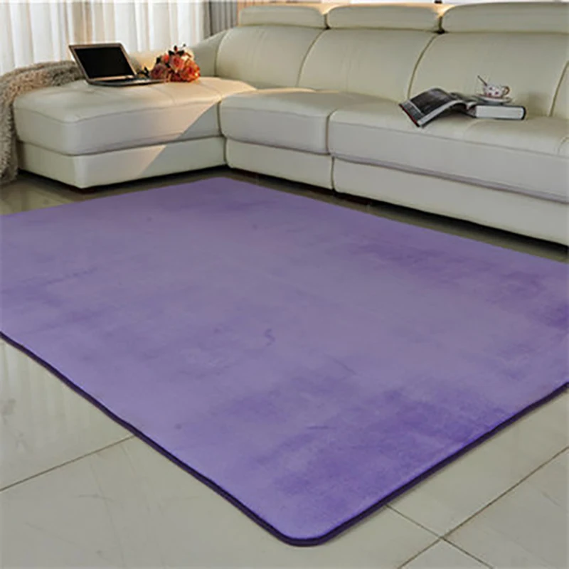 Zeegle Solid Color Carpet For Living Room Home Floor Mat Entrance Area