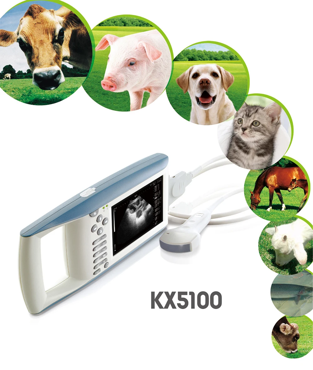 Portable ultrasound machine veterinary livestock cattle horse palm