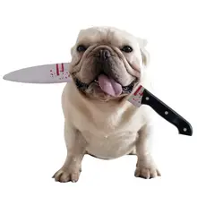 Animal de compagnie drôle bandeau Halloween animal de compagnie habiller bandeau drôle chien chapeaux Costume de fête cheveux accessoires pour chiens chiots chatons(China)