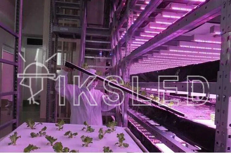 1 м* 10 шт. Led бар жесткая полоса DC12V светать для quariumhydroponics IP65 водонепроницаемый красный и синий, красный и белый