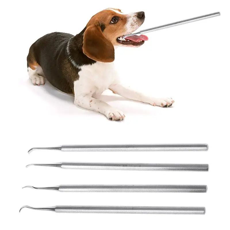 

New Dog Dental Tooth Double End Scaler for Plaque Tartar of Dog Cat Removal