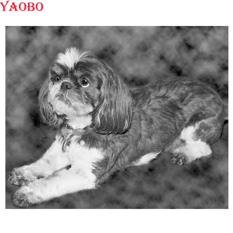 Shih Tzu 5d diy Алмазная картина вышивка животное черно-белая собака головоломка
