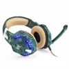 Earphones & Headphones