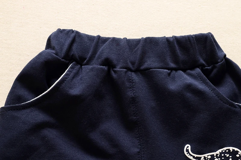 BibiCola newborn baby boys Clothing sets top+pants infants animal clothes set kids toddler Autumn set boys sport tracksuit set