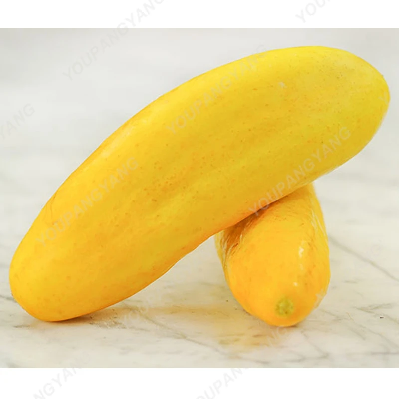 Огурец Большой голландский жёлтый (Large Dutch Yellow)