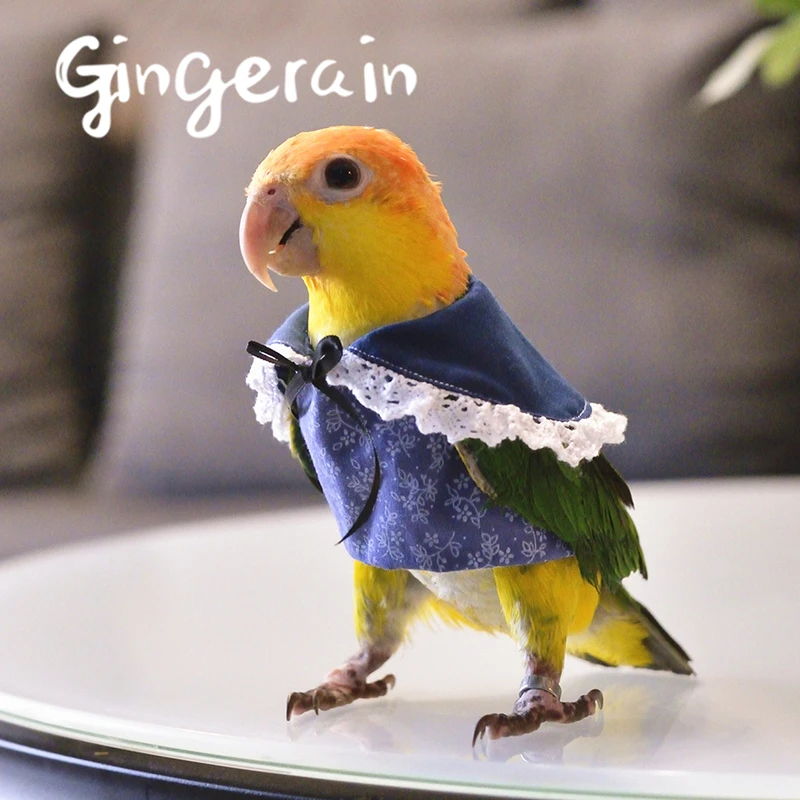 Gingerain одежда с птицами попугай одежда кружевная рубашка оригинальная ручная работа на заказ одежда с птицами свитер с капюшоном кружевная рубашка
