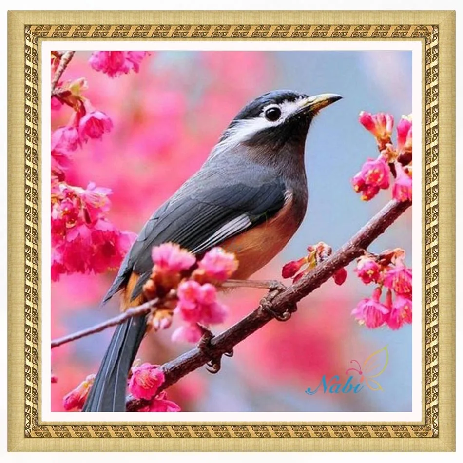 

Bird Round diamond mosaic painting diamond embroidery cross stitch - 5d diy full crystals icons kits 954BB