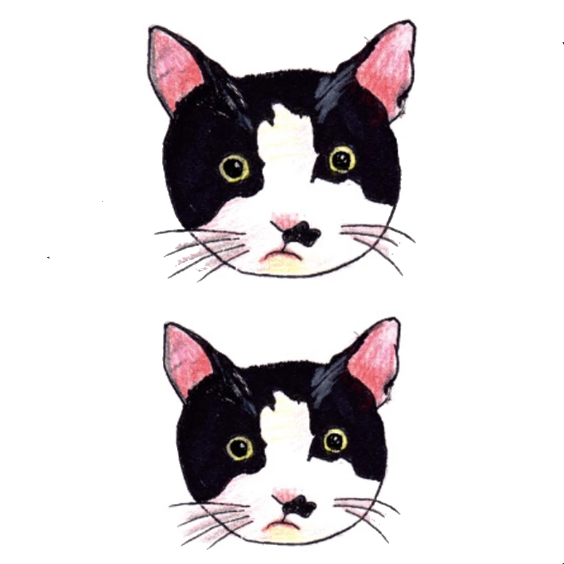 8545965978_3081690_
