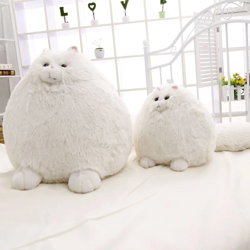 50 см корейские милые жира персидская кошка плюшевые игрушки персидская кошка Мягкая кукла плюшевые подарок Белый Кот кукла