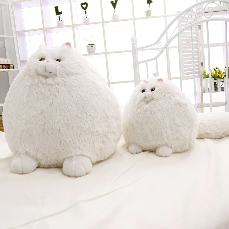 Peluche De Gato Original Coreano 50cm Lindo Peluche De Gato De Juguete Persa Muneco De Peluche Suave Regalo Para Gato Blanco Envio Gratis Cat Doll Stuffed Dollplush Toys Aliexpress