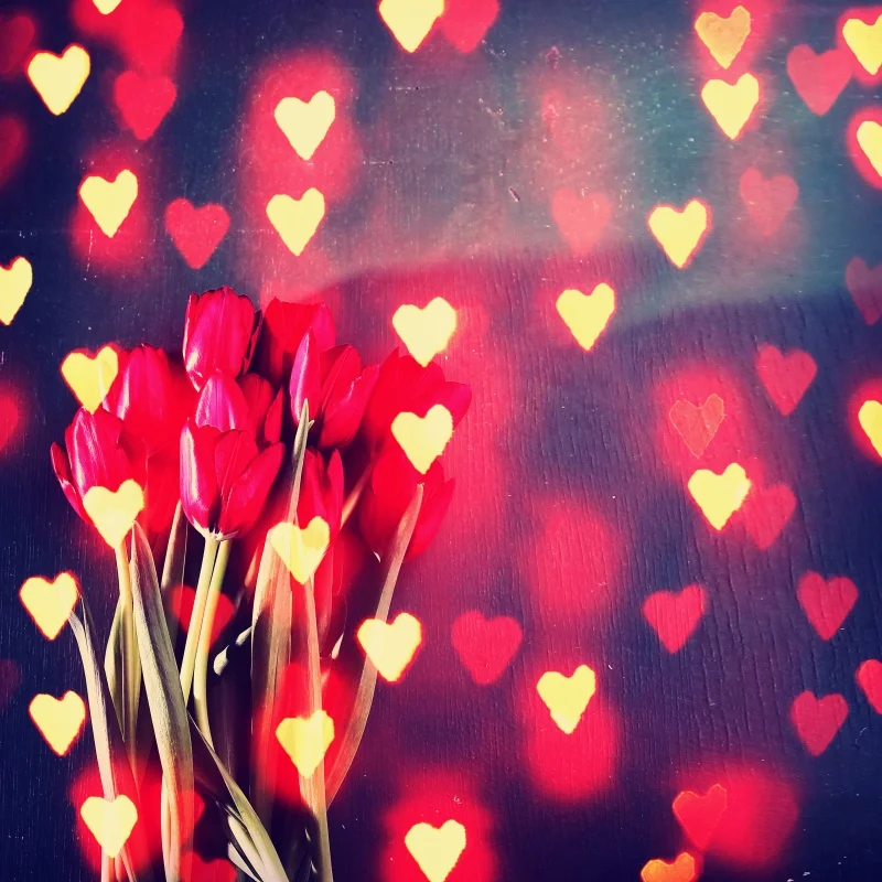 Laeacco детские живопись сердце любовь красная роза день Святого Валентина фон для портретной съемки фотографии задний план для фотостудии