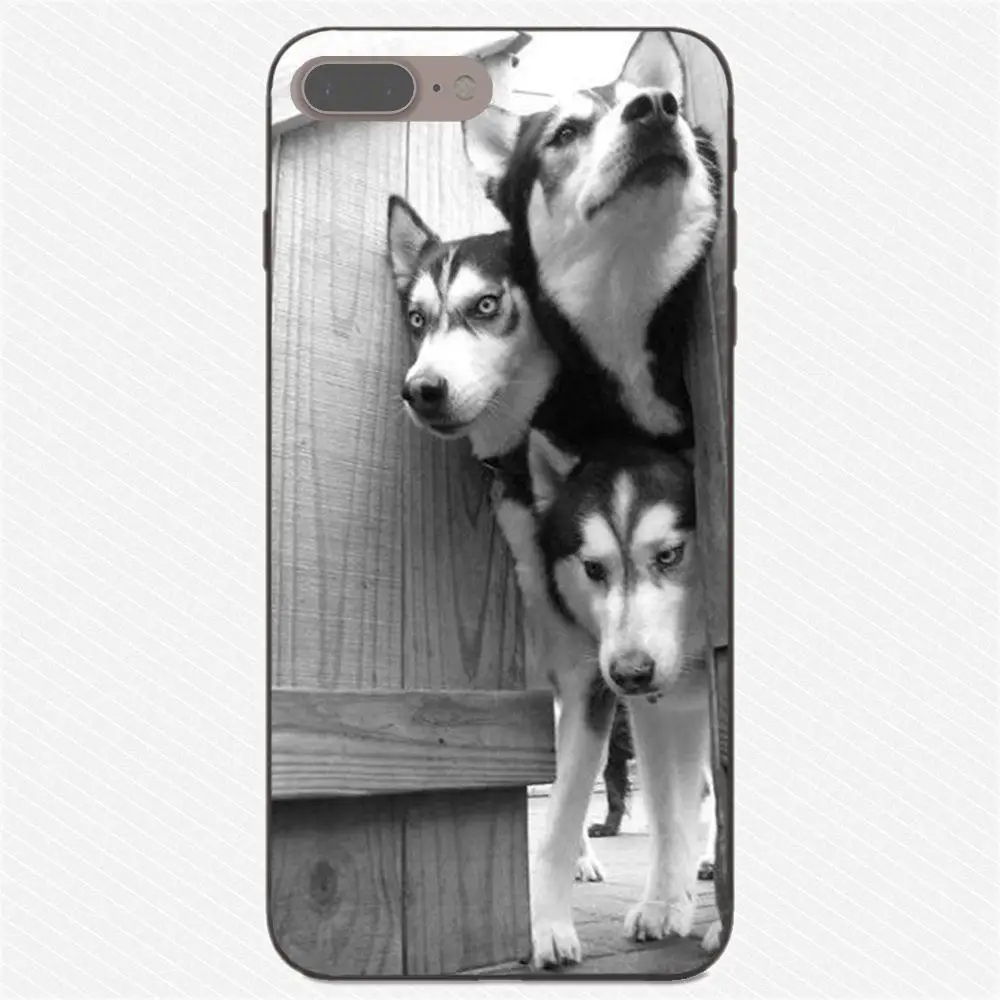 as picture Пикантные Сибирского Хаски рисунком милой собачки для huawei Honor 5A 6A 6C 7A 7C 7X 8A 8C 8X9 10 P8 P9 P10 P20 P30 Мини Lite рlus - Цвет: as picture