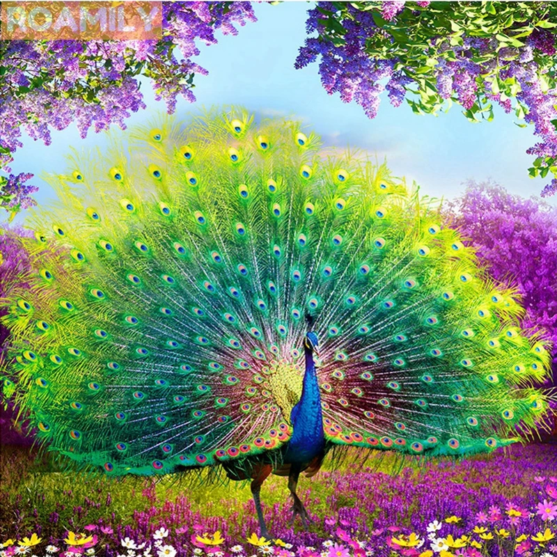 

ROAMILY,5D Diamond Painting Peacock,Beautiful Animals,Diamond Embroidery Peacocks,Full Square Drill,DIY Decorations for Home