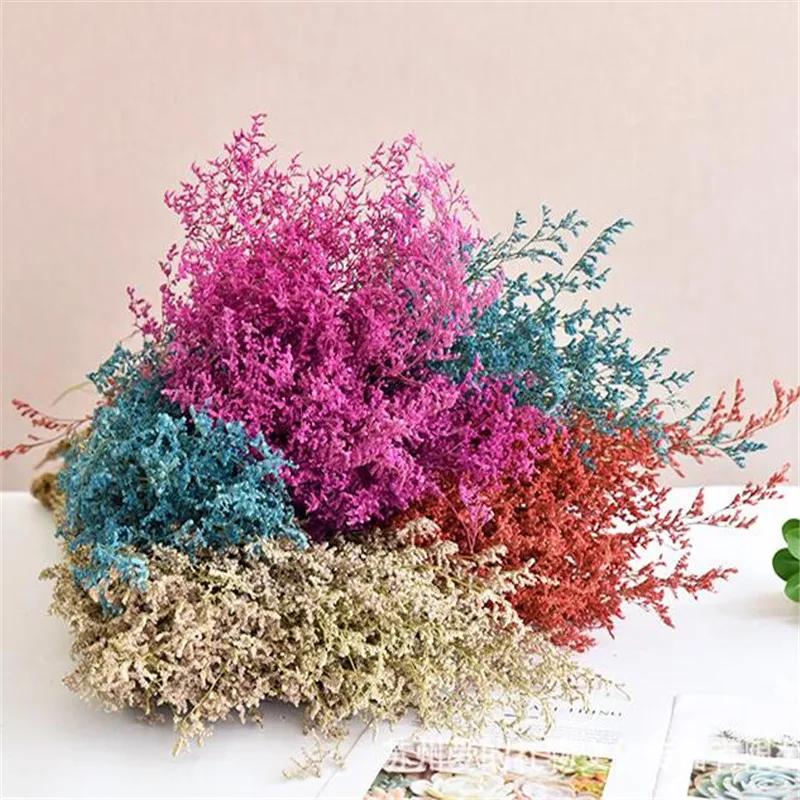 

1 Bundle 45-50CM DIY Wedding Party Photo Props Pure natural plant Dried Flowers Cafe Library Home decoration 120~150g