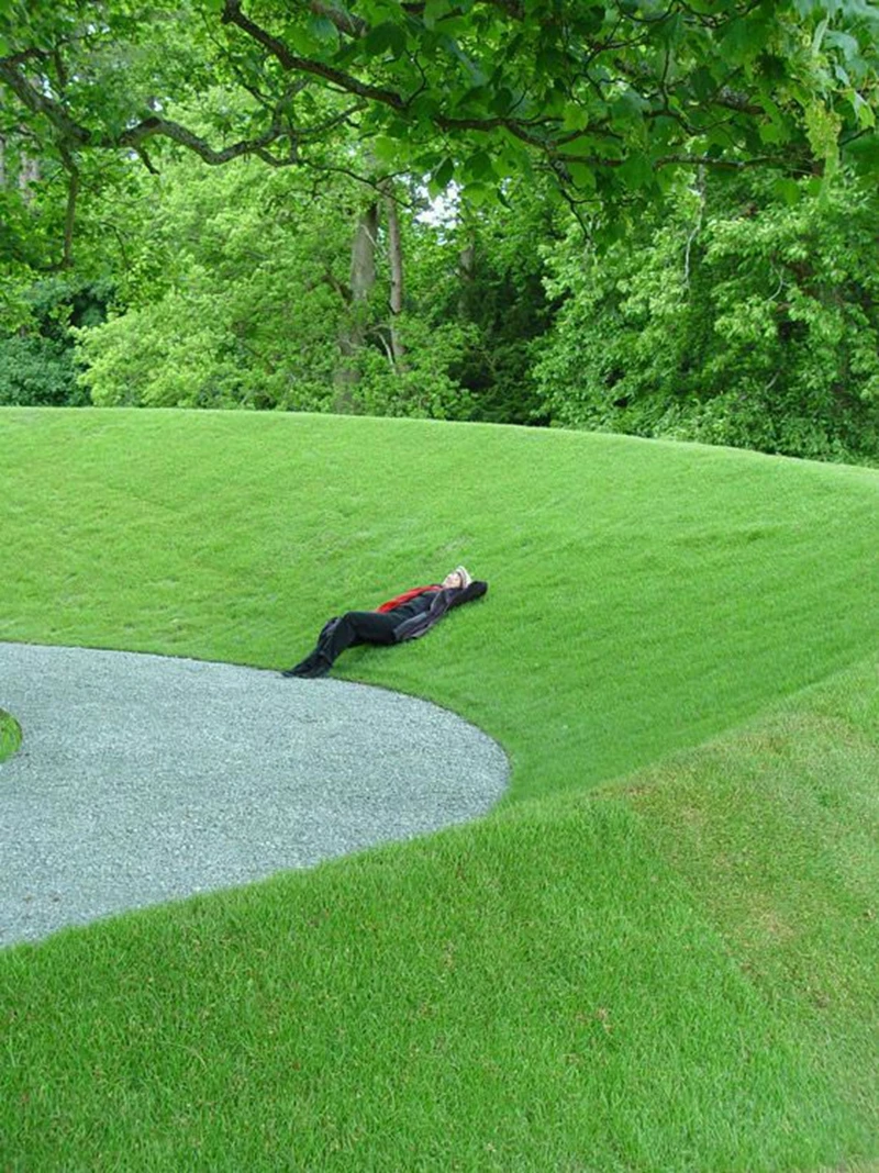 1000 Pcs Japanese Forest Grass lawn, Perennial Evergreen Lawn Bonsai plant Beautiful Garden Ornamental Potted Plant Easy to Grow 1000 Pcs Japanese Forest Grass lawn, Perennial Evergreen Lawn Bonsai plant Beautiful Garden Ornamental Potted Plant Easy to Grow