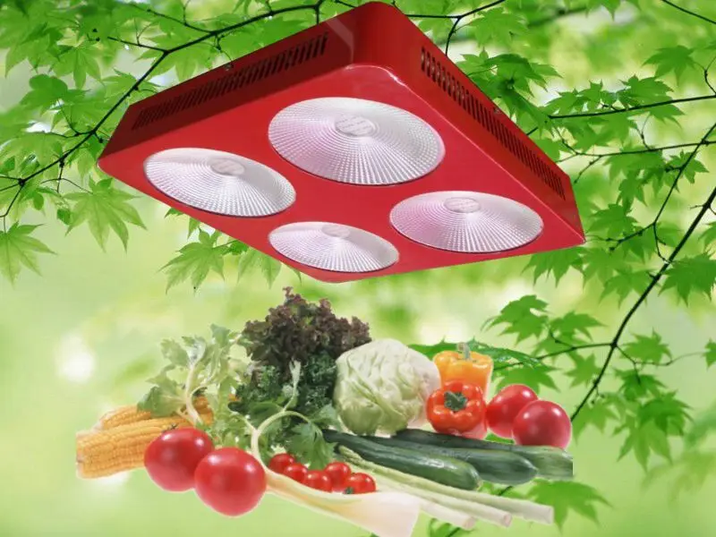 3pc/lot 300W Full Spectrum Lighting for hydroponics greenhouse led grow lights USA/CA Stock High