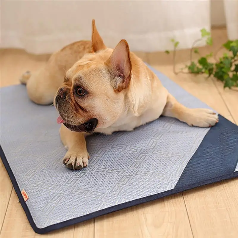 

Summer Pet Sleep Mat Simple Cool Cat Sleep Mat Dog Sleep Mat Pet Sleep Pad For Hot Summer Dog'S Cooling Mat Bed