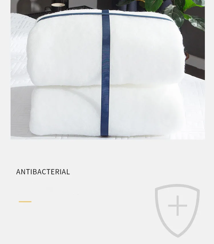 Description Picture 5 of itemDropshipping Customizable Size Mattress Soft Mattress Home Tatami Mat Was The Floor Mat Student ZHA13-18599