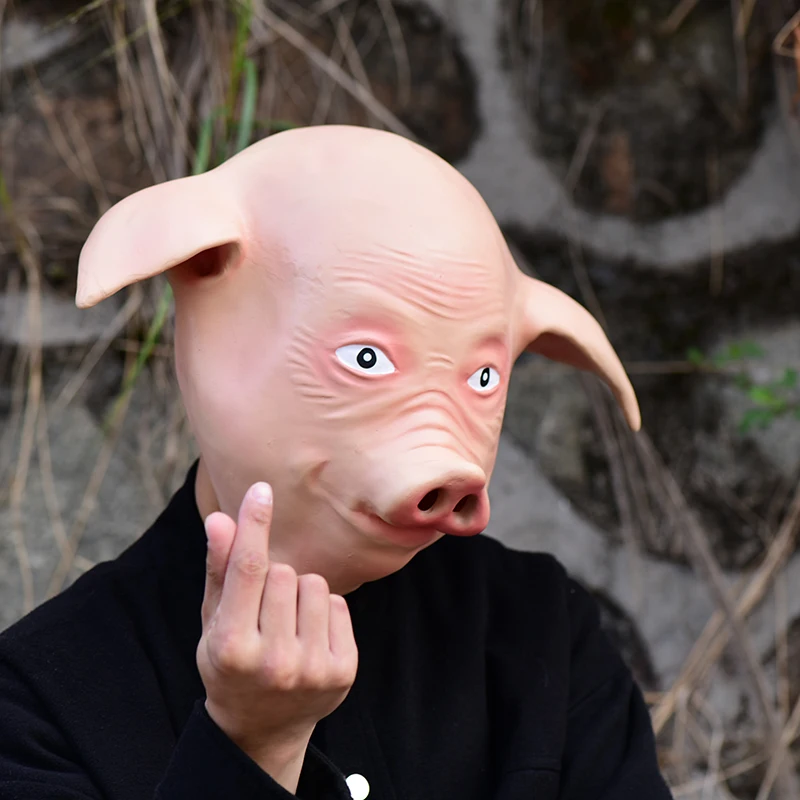 DSC_0250