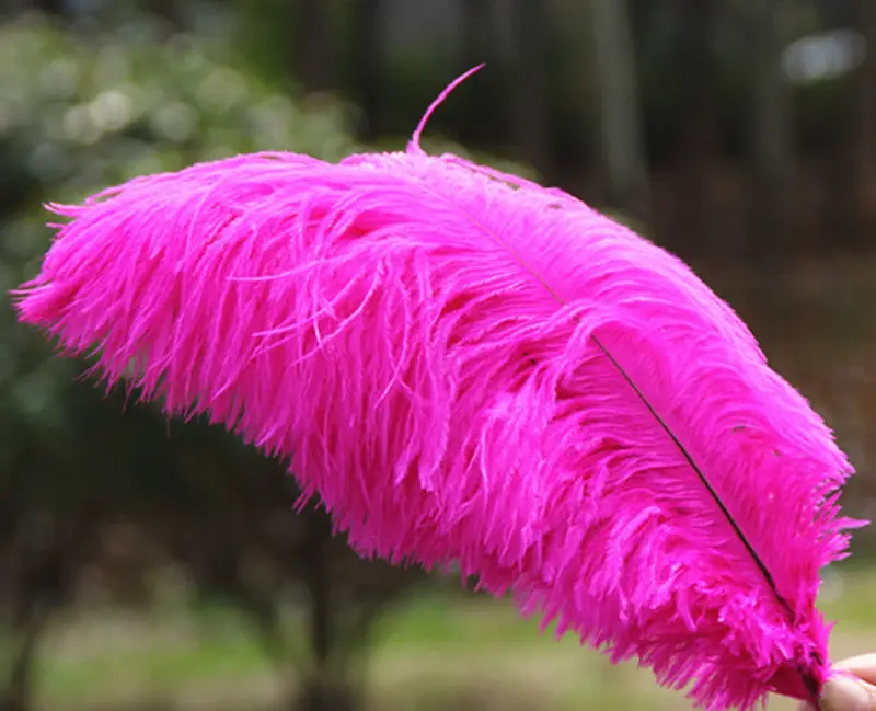 500 шт.; большие размеры 35-40 см, кожа, цвет розовый, окрашенное перо страуса 14-16 дюймов Длинные свадебные украшения ремесленничество - Цвет: hot pink