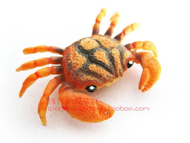 Ocean animal model child crab model toy -   5-7cm
