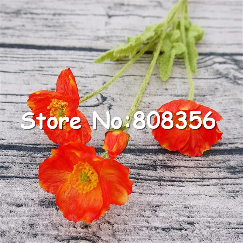 655