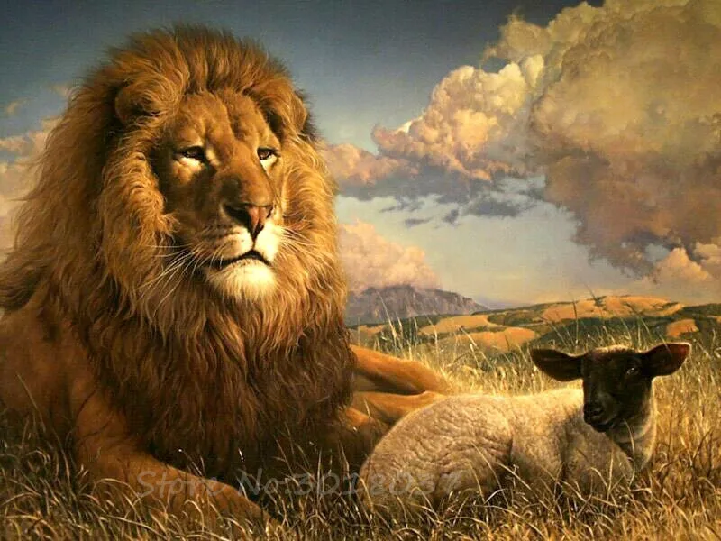 

Diamond Mosaic 5D Diy Diamond Embroidery Lion And The Lamb 3D Diamond Painting Cross Stitch Floral Rhinestone Decoration Sticker