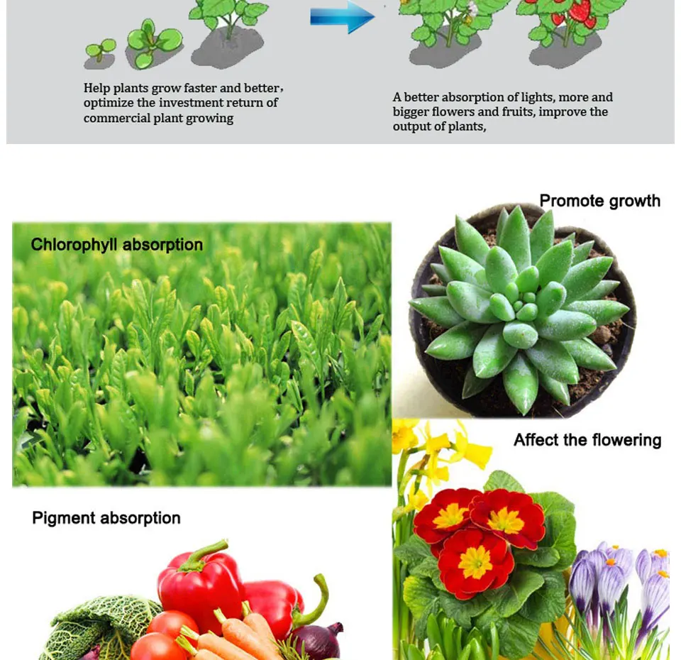 110V 220V indoor plant growing Led light grow lamp bulb (4)