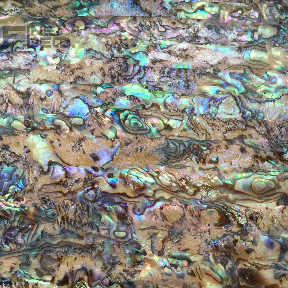 Buy New Zealand paua abalone shell laminate sheet for