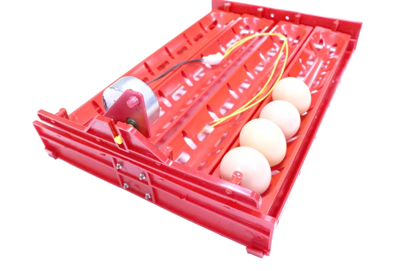 New 32-40 Eggs Incubator Incubator Accessories Turn The Eggs Tray Duck Goose Poultry Birds Motor Of 110V Or 220V Free Shipping New 32-40 Eggs Incubator Incubator Accessories Turn The Eggs Tray Duck Goose Poultry Birds Motor Of 110V Or 220V Free Shipping