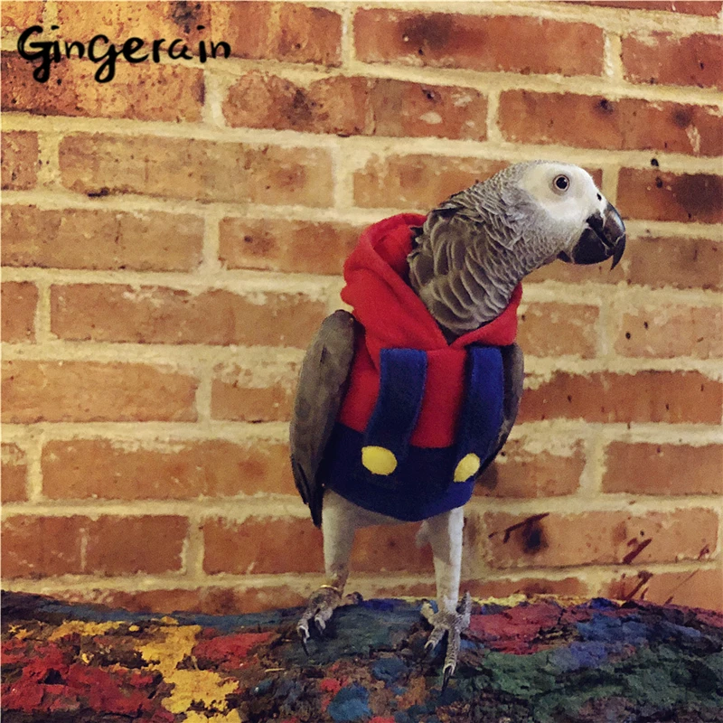 Gingerain одежда с птицами и попугаями оригинальная ручной работы свитер