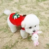 Christmas Cat Clothes Small Dogs Cats Santa Costume Kitten Puppy Outfit Hoodie Warm Pet Dog Clothes Clothing Accessories ► Photo 3/6