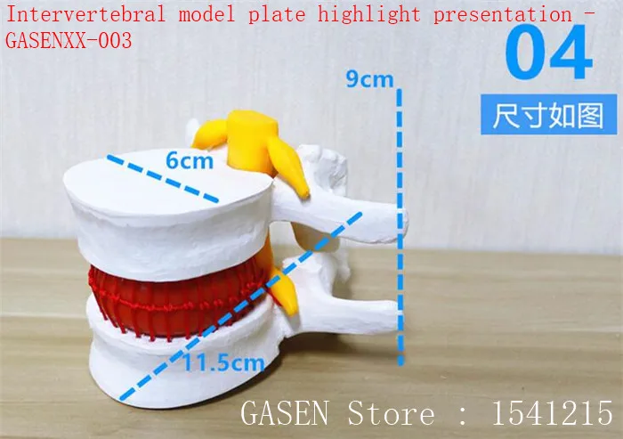 

Lumbar enlargement Medical Human Spine Bone Pathology Demonstration Massage massage Human ankle function model - GASENXX-002
