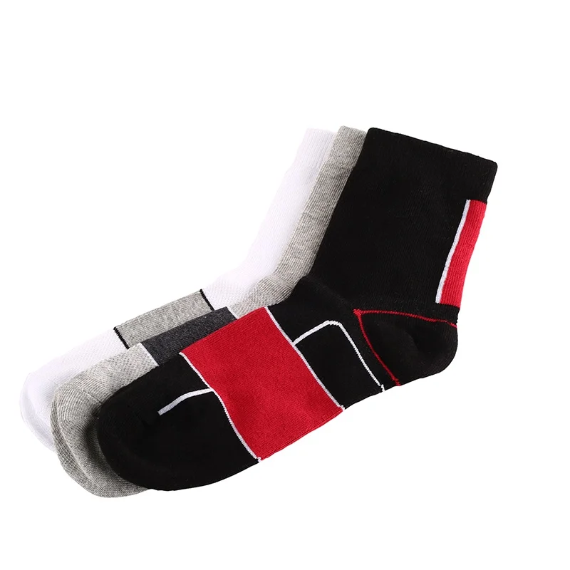 XW0003 (6)