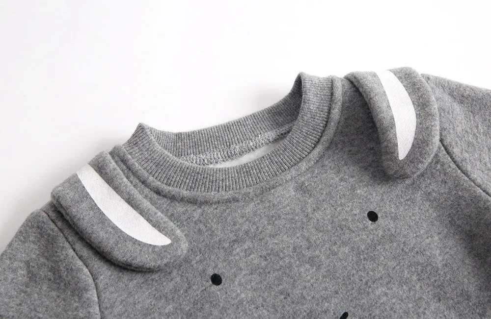 Комплекты одежды для девочек осень зима 2 шт. дизайн животных теплая бархатная