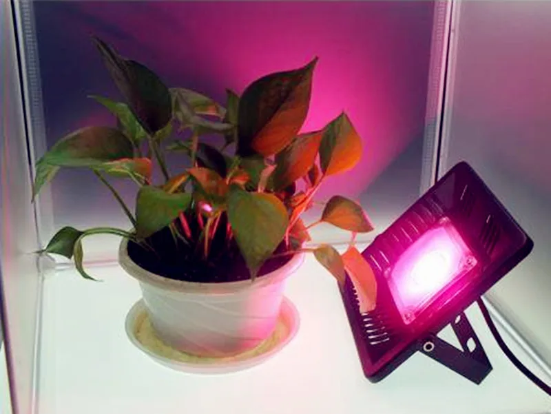 Полный спектр светодиодный свет для выращивания IP65 Водонепроницаемый 50 Вт 100 Вт Светодиодный светильник для выращивания растений прожектор на ножке теплица 110 В 220 в США/ЕС/Великобритания штекер
